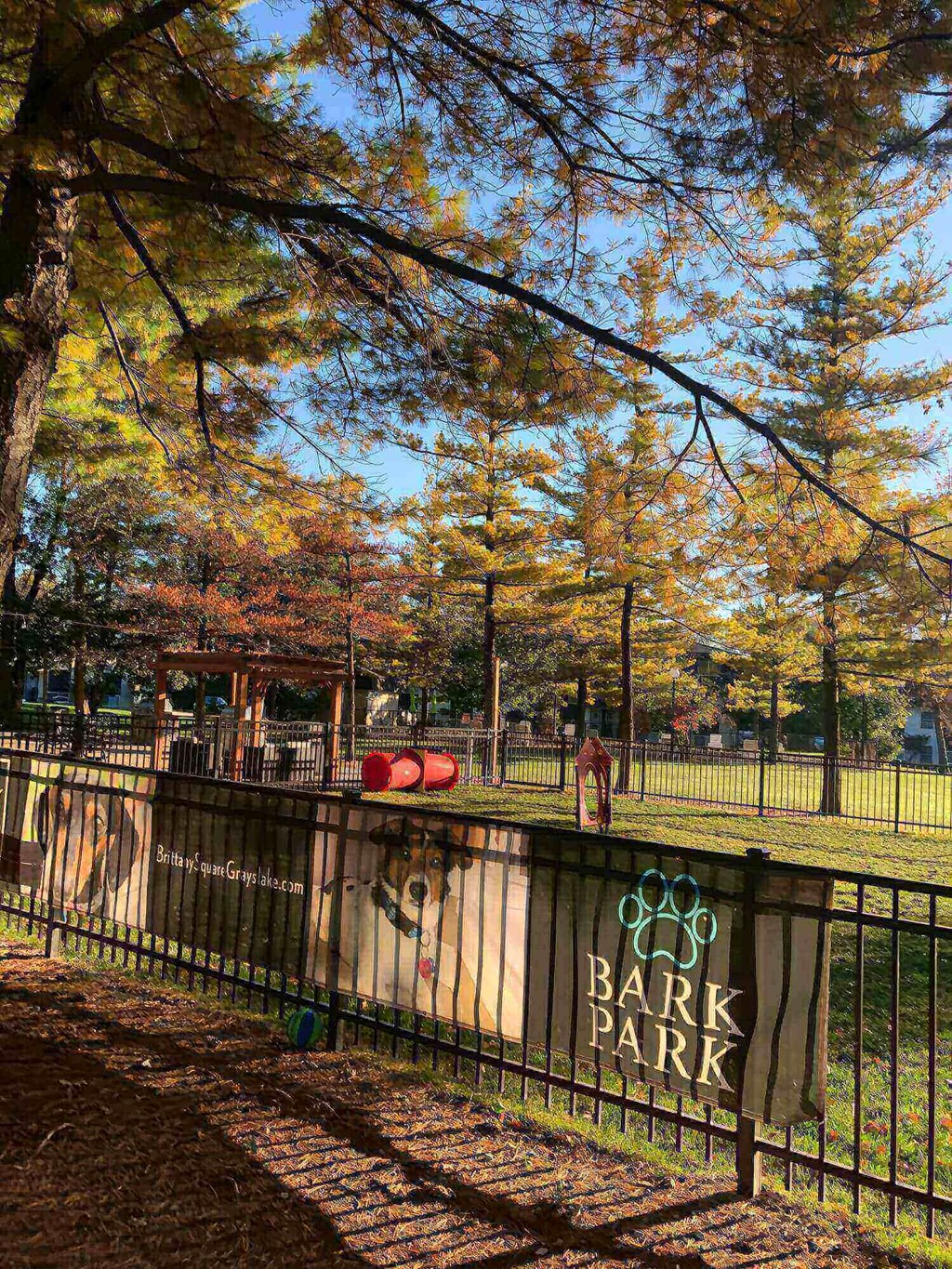 Exterior picture, dog park