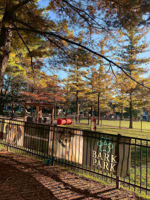 Exterior picture, dog park