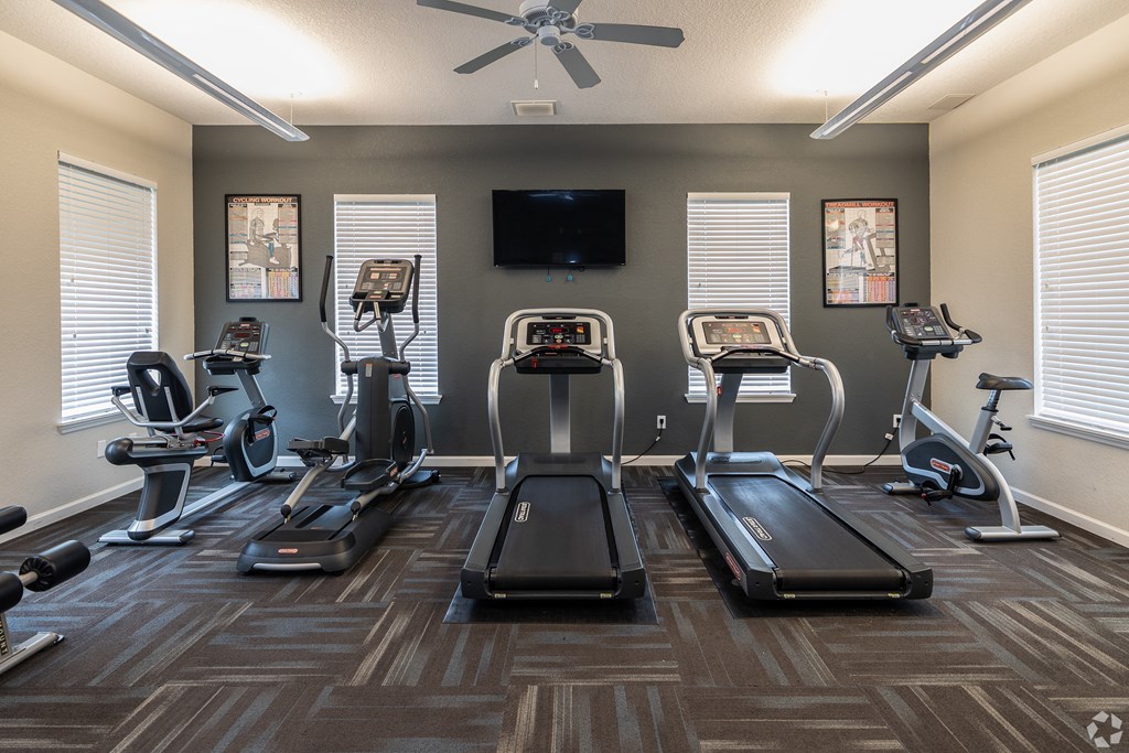 A gym with treadmills, elliptical machines, and a television.