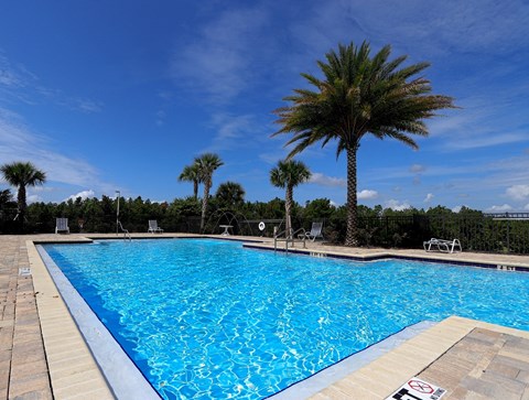 Sparkling Resort-Style Pool