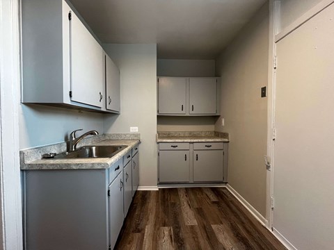 A kitchen with a sink and cabinets.