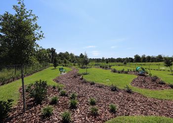 A playground with a green slide and a blue slide.