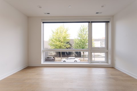 A room with a large window overlooking a street with cars and trees.