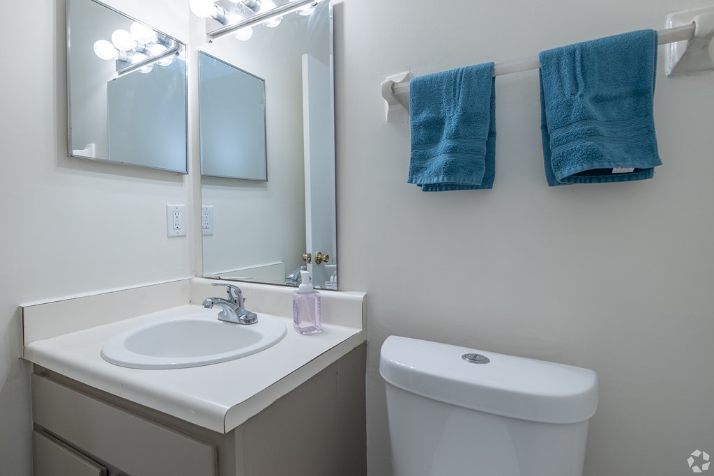 A white sink with a pink soap and a white toilet in a bathroom.