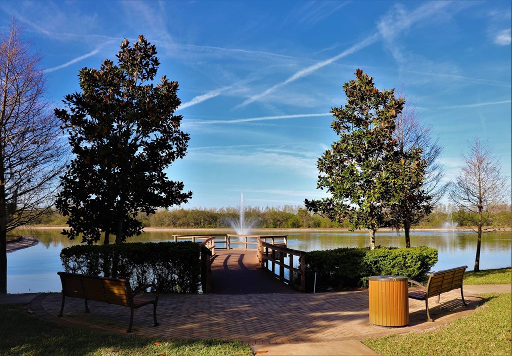 A park with a bench, a tree and a lake.