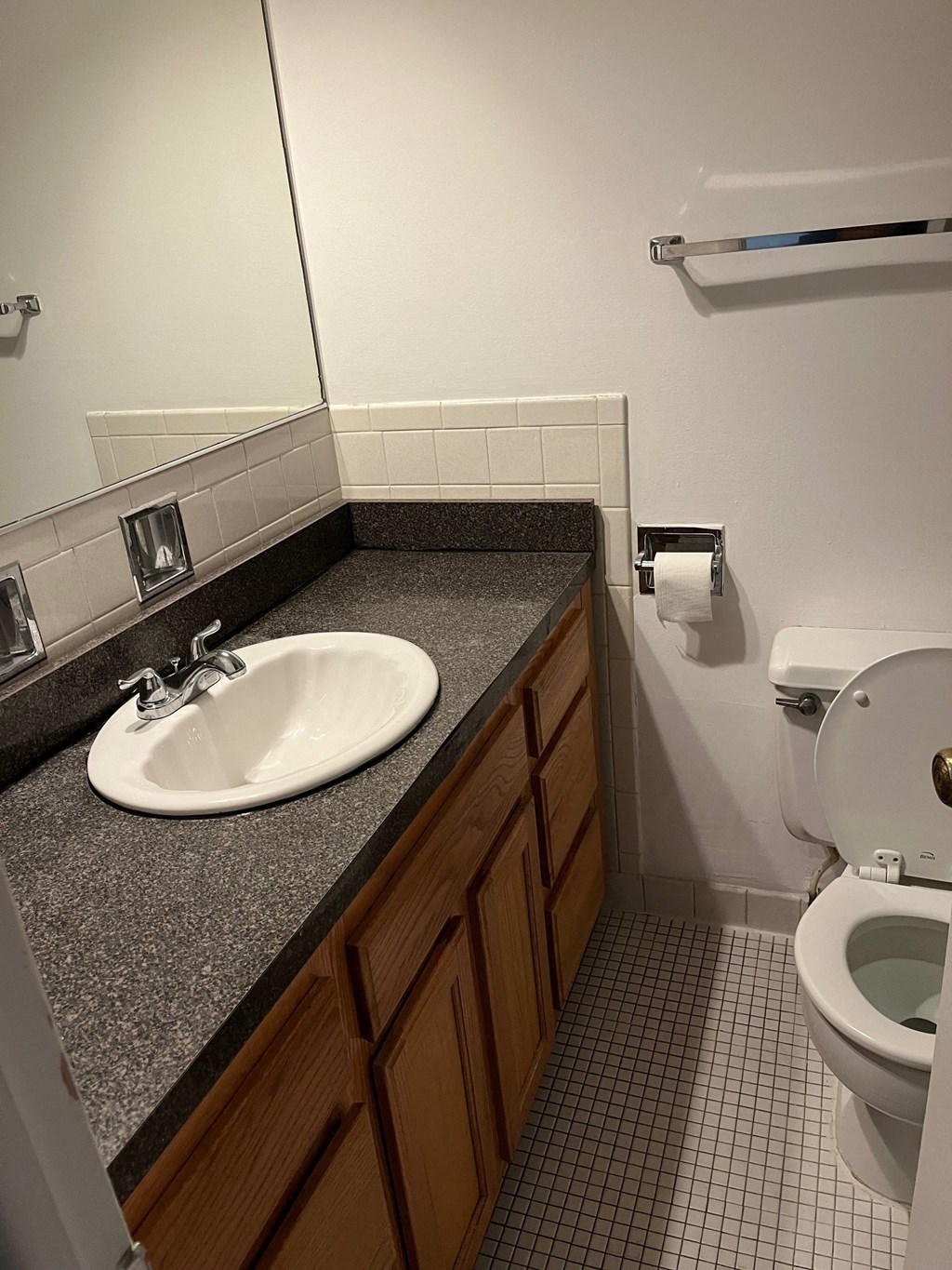a bathroom with a sink and a toilet