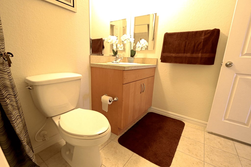A white toilet sits in a bathroom next to a brown rug.