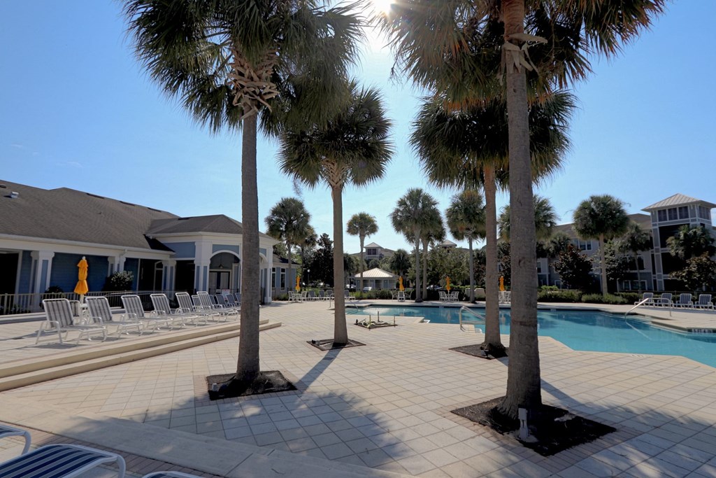 A pool surrounded by palm trees and sun loungers.