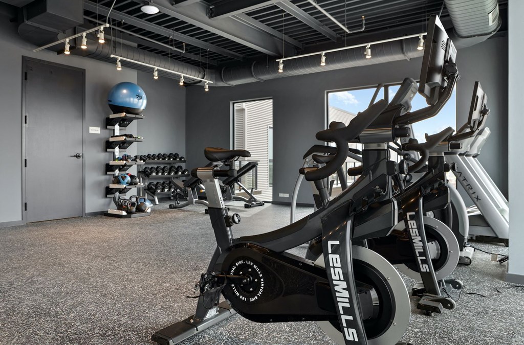 a slew of exercise bikes in a gym