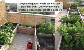 a vegetable garden where learners can grow their own
