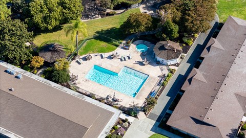 Arial view of the swimming pool  at The Grove at Walnut Creek Apartments in Walnut Creek, CA.