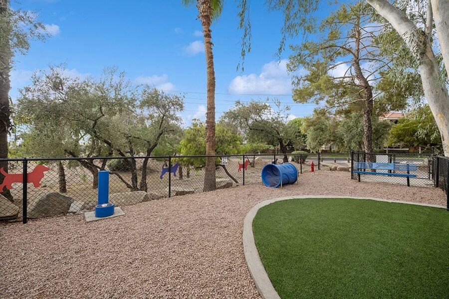 Community Dog Park with Agility Equipment at Crystal Creek Apartments located in Phoenix, AZ.