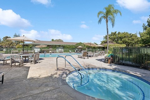 Swimming pool with chairs and tables and umbrellas at Walnut Creek Manor Apartments in Walnut Creek, CA