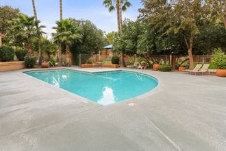 Pool and sundeck - Photo Gallery