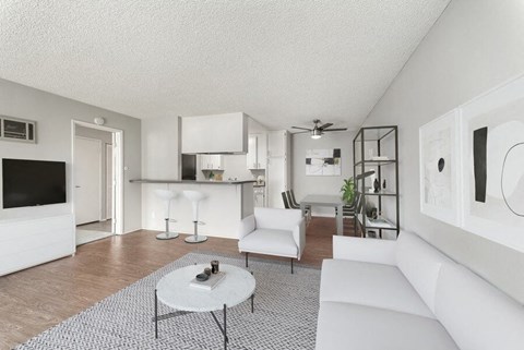 A modern living room with a white sofa and a grey rug.