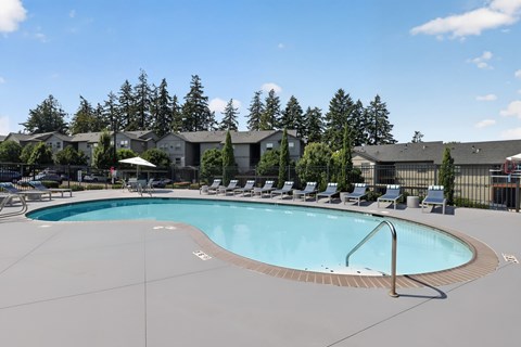 A large outdoor swimming pool surrounded by lounge chairs and trees.