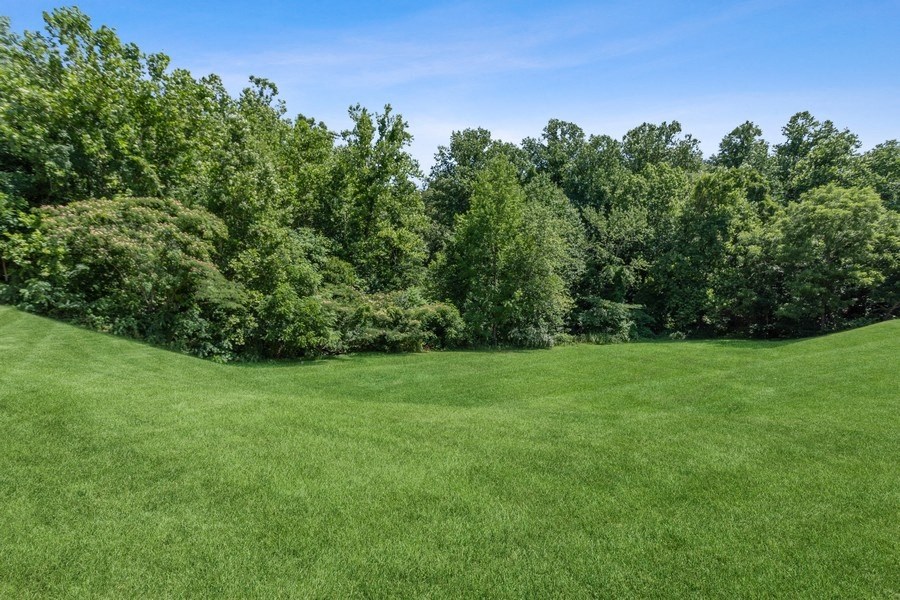 Exterior landscape showcasing tall trees