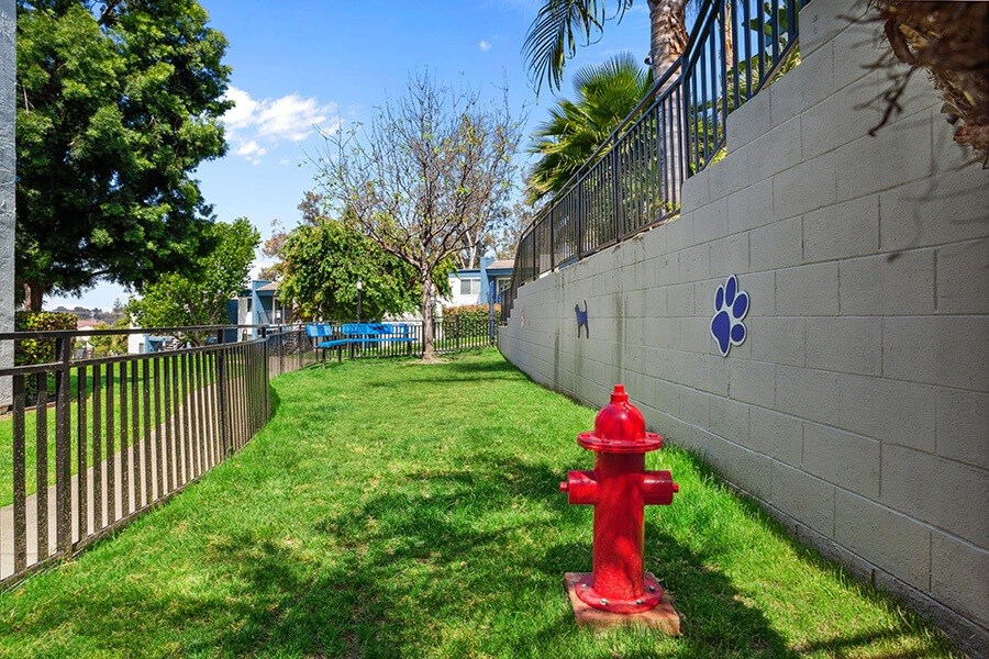 Community Dog Park with Agility Equipment at Cove La Mesa Apartments located in La Mesa, CA.