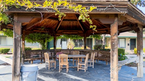 Covered patio with picnic tables at The Grove at Walnut Creek Apartments in Walnut Creek, CA.