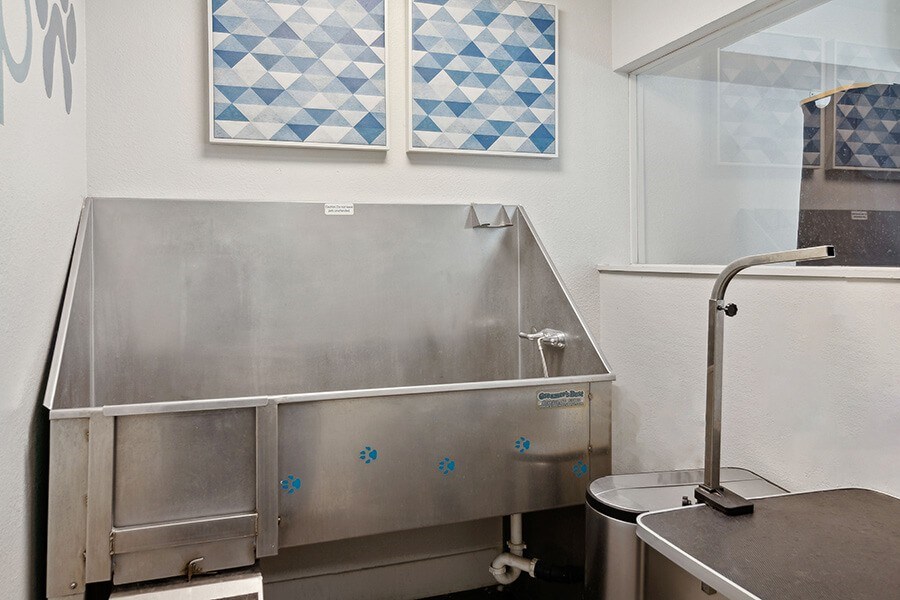 Community Dog Wash Station at Los Gatos Landing Apartments located in San Jose, CA.