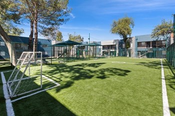 Full soccer field - Photo Gallery 24