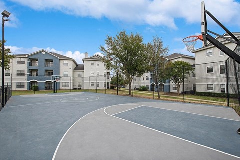 Community Sports Court at Hidden Creek Apartments located in Lewisville, TX.