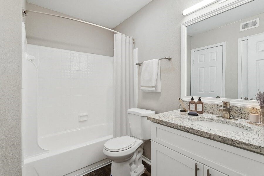 a bathroom with a shower toilet and a sink