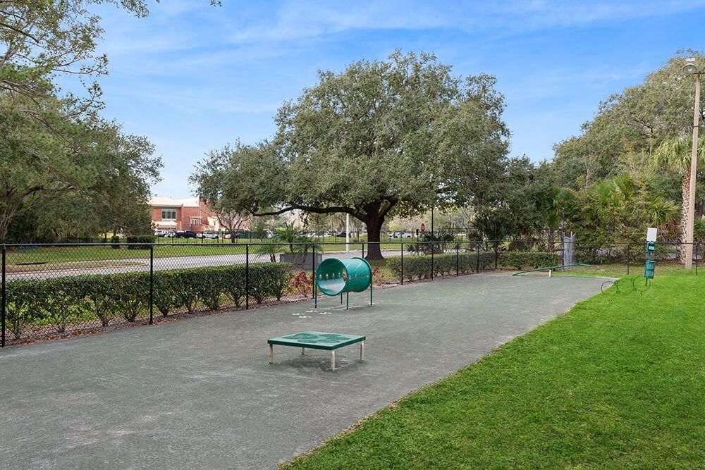 Community Dog Park with Agility Equipment at Seven Lakes at Carrollwood Apartments in Tampa, FL.