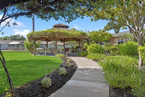 Gazebo with plants on top and a sidewalk at Walnut Creek Manor Apartments in Walnut Creek, CA