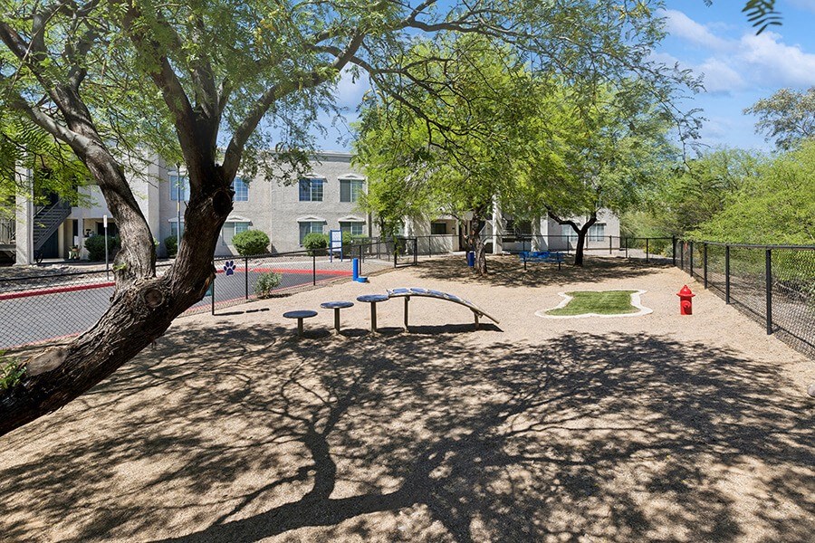 Community Dog Park with Agility Equipment at Ridgeline Apartments in Tucson, AZ.