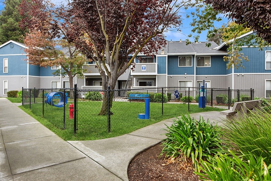 Community Dog Park with Agility Equipment at Meritage Apartments in Vallejo, CA.