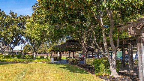 Green space, trees, and gazebo at The Grove at Walnut Creek Apartments in Walnut Creek, CA.