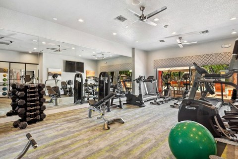 Apartments in Surprise, AZ, with In-Unit Washer and Dryer - Harmony at Surprise - A Fitness Center With Cardio Equipment, Dumbbell Rack, Weight Benches, Mirrored Wall, And Ceiling Fans.