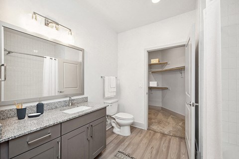 Model Bathroom with Gray Cabinets, Wood-Style Flooring and Walk In Closet at Alta 3Eighty Apartments located in Aubrey, TX.