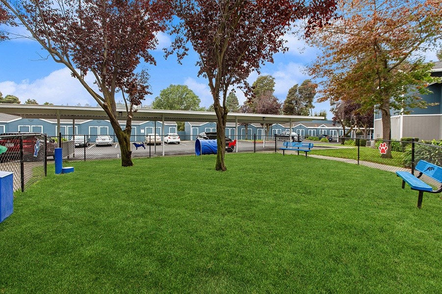 Community Dog Park with Agility Equipment at Meritage Apartments in Vallejo, CA.