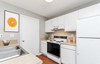 Model kitchen - Photo Gallery 3