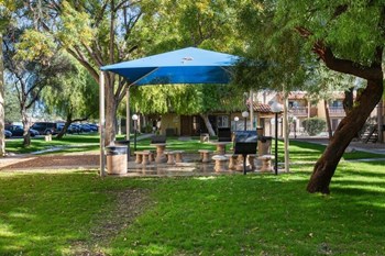 Covered picnic area surrounded by trees - Photo Gallery 16