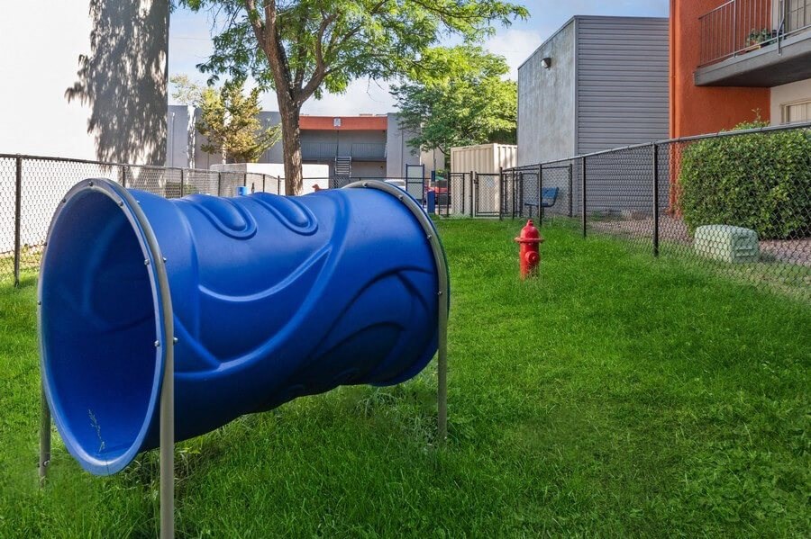 Community Dog Park with Agility Equipment at Indigo Park Apartments in Albuquerque, NM.
