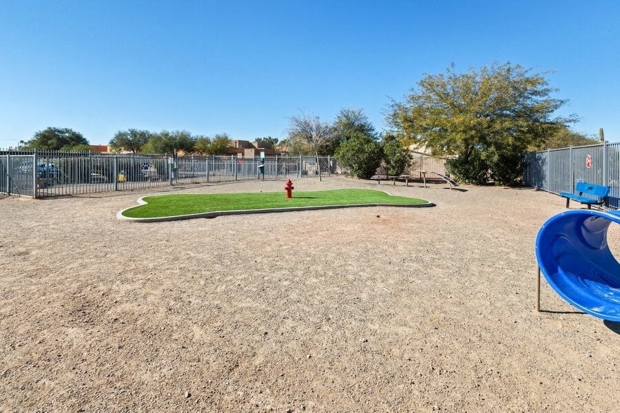 Dog park with agility equipment