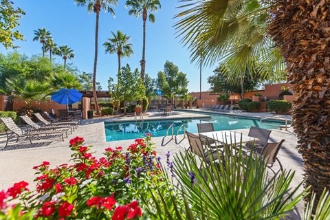 Swimming pool and pool deck surrounded by lush vegetation