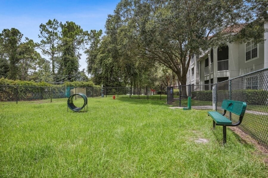 Dog park with Agility Equipment
