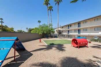 Dog park - Photo Gallery 17