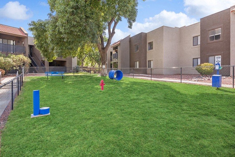 Community Dog Park with Agility Equipment at Saddle Ridge Apartments in Tucson, AZ.