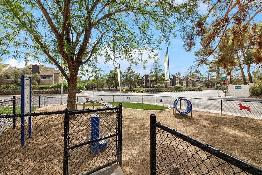 Community Dog Park with Agility Equipment at Meadow Ridge Apartments in Las Vegas, NV.