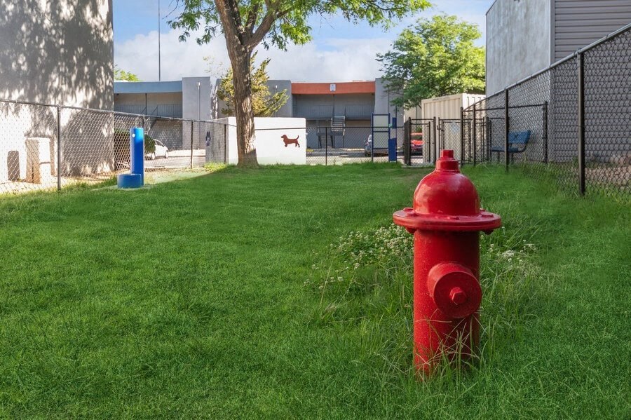 Community Dog Park with Agility Equipment at Indigo Park Apartments in Albuquerque, NM.
