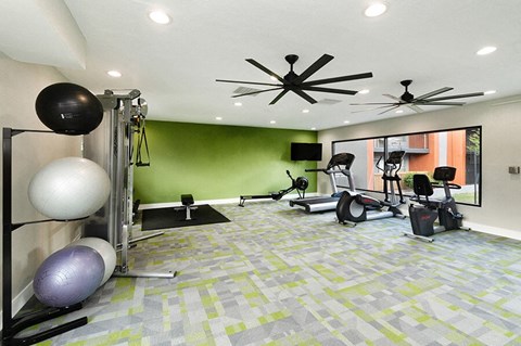 Northeast Albuquerque, NM, Apartments Near University of New Mexico - Indigo Park - Modern Fitness Center With Cardio Machines, Free Weights, Exercise Balls, And Large Window Views.