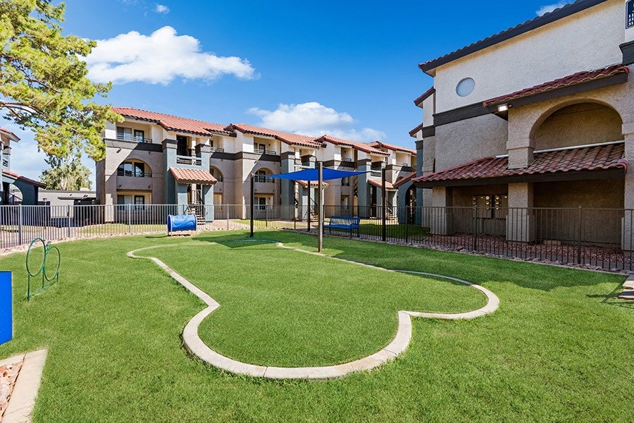 Community Dog Park with Agility Equipment at Stillwater Apartments in Glendale, AZ.