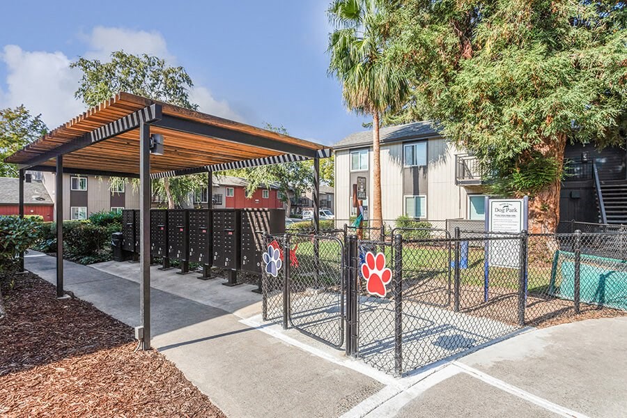 Community Dog Park with Agility Equipment at The Archer Apartments in Sacramento, CA.