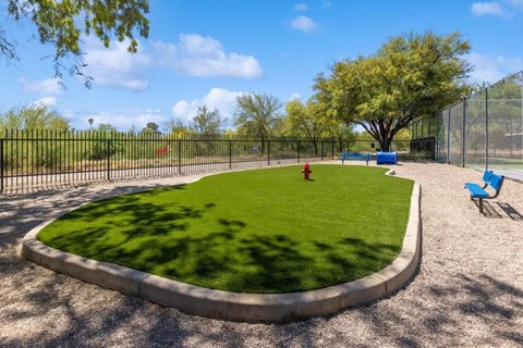 Community Dog Park with Agility Equipment at Lakeside Casitas Apartments in Tucson, AZ.