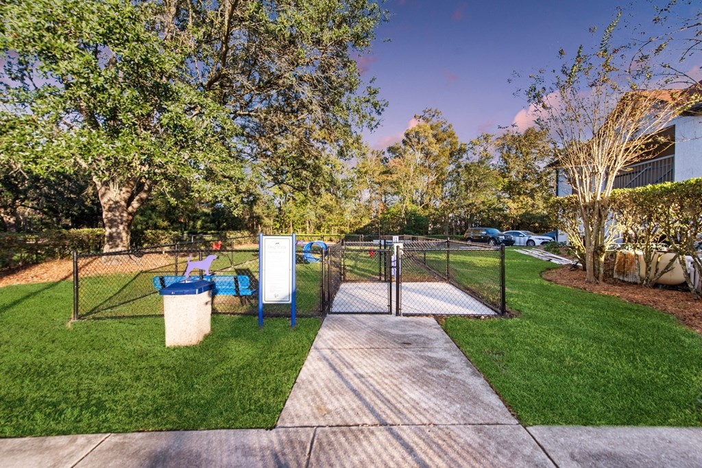 a dog park with a chain link fence and a dog playground